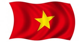 Die Flagge von Vietnam