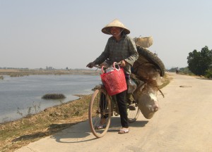 Schwer bepackte Fahrradfahrerin auf dem Weg nach Ninh Binh