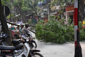 Auch Hindernisse können den Verkehr in Saigon nur kurz aufhalten