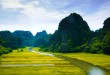 Reisfelder in der Nähe von Ninh Binh