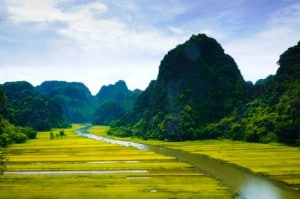 Reisfelder in der Nähe von Ninh Binh