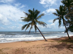 Einsamer Strandabschnitt auf Phu Quoc