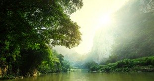 Natur pur kann man in Vietnam erleben