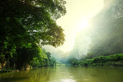 Natur pur kann man in Vietnam erleben