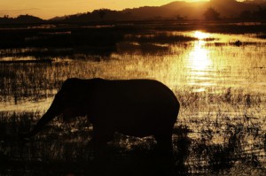 Die Natur von Vietnam bietet ein großes Spektrum an Abwechslung!