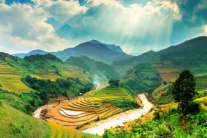 Reisterassen in Mu-Cang-Chai - eine interessante Alternative zu Sapa in der Region