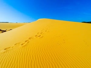 Sanddünen in Mui Ne sind sehr populär bei Touristen, vor allem weil niemand diese in Vietnam erwartet hätte.