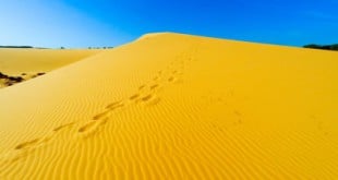 Sanddünen in Mui Ne sind sehr populär bei Touristen, vor allem weil niemand diese in Vietnam erwartet hätte.