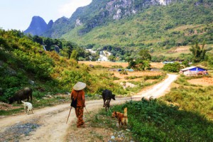 Beim Backpacking kann man auch die ruhigeren Gegegenden von Vietnam gut erkunden...