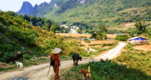 Beim Backpacking kann man auch die ruhigeren Gegegenden von Vietnam gut erkunden...